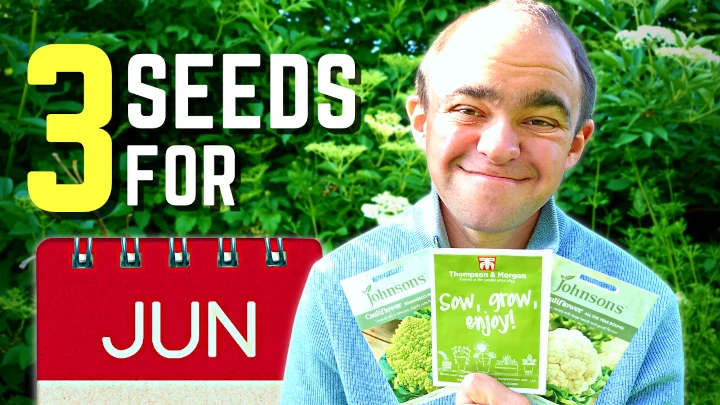 10 Veg Seeds You Should Sow In June